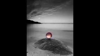 Apidae - Turning Tides (Electronic Youth Life On Mars Mix)
