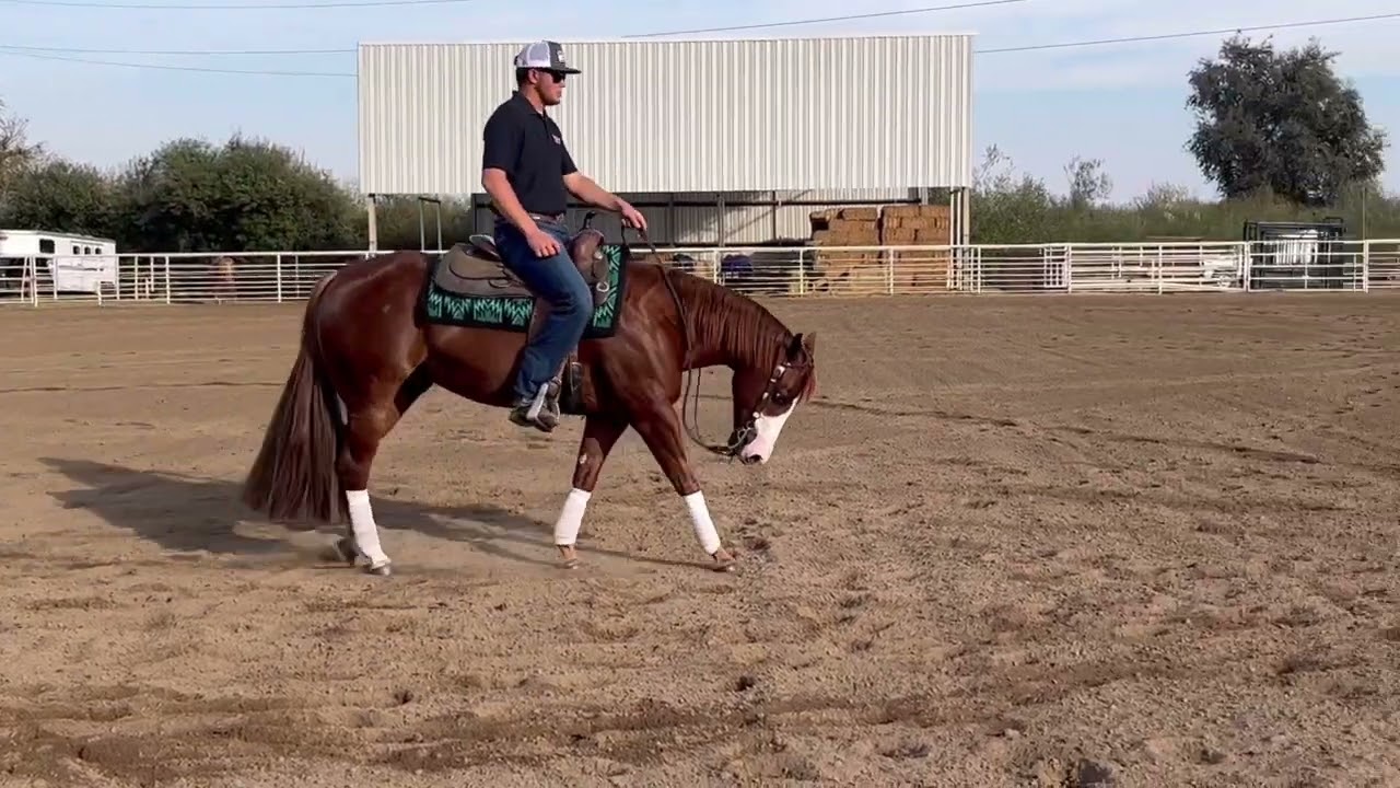 THE DEVL WEARS PRADA