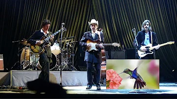 Bob Dylan - Humming Bird - live München 2002