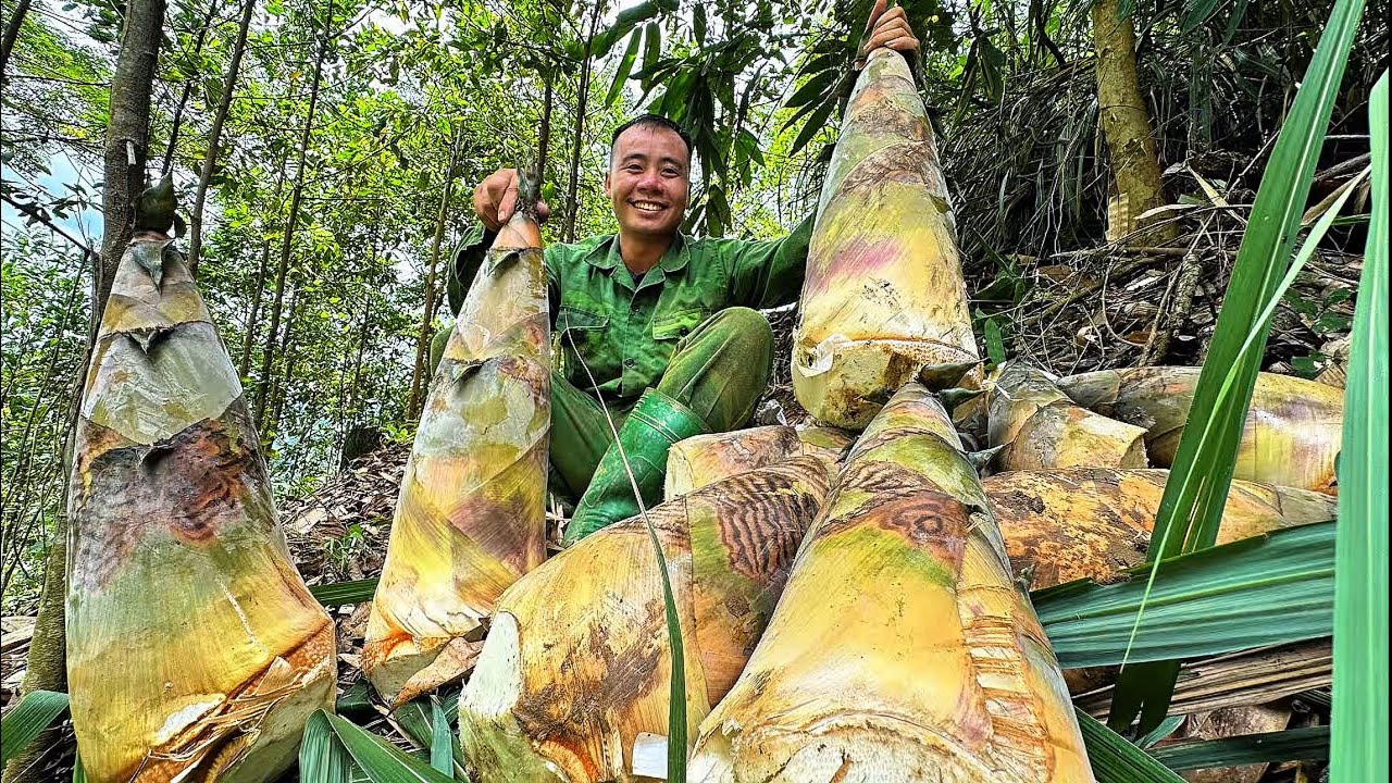 FULL VIDEO; harvesting giant bamboo shoots, the largest bamboo shoots in Vietnam