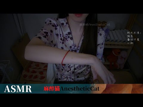 麻醉猫【ASMR】每天听着入睡