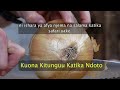 Kuona Kitunguu Katika Ndoto Tafsiri Ya Ndoto Kuona Kitunguu Katika Ndoto Tafsiri Ya Ndoto