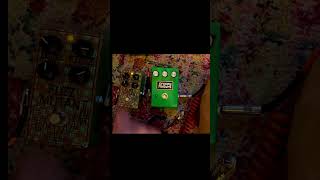 Basic Audio ~Fuzz Mutant & Creepy Fingers Regulus 8 (Os Mutantes fuzz)