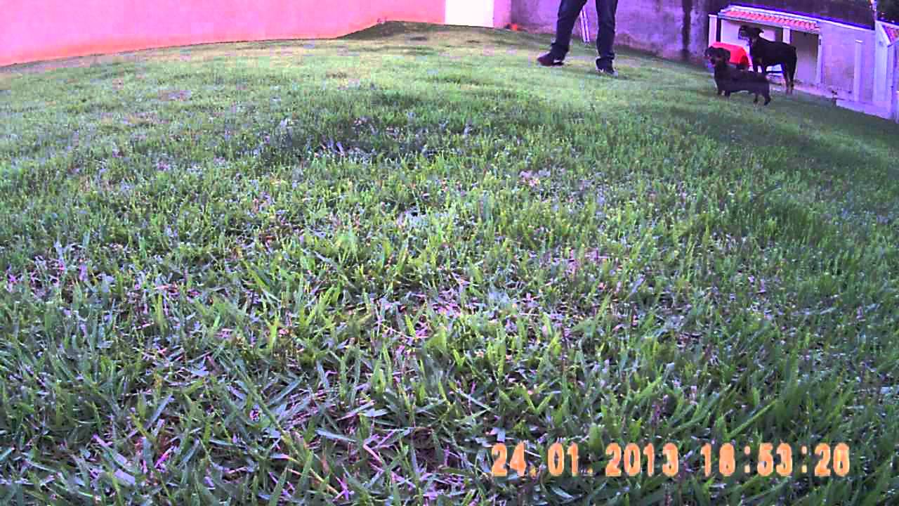 MultiCopter IFly4 Maiden Flight