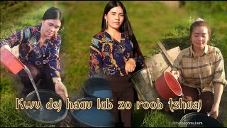 Nkauj Hmoob Toj Siab Lo Kwv Dej Hauv Zo Roob Tshuaj Sab Kawg Li 28 8 2021