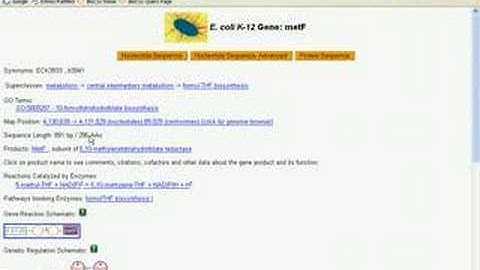 Introduction to BioCyc Part 4B