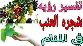 تفسير رؤيه شجره عنب في المنام