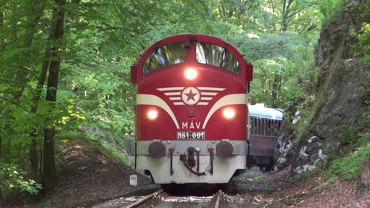Bakonyvasút napja - 2016, főszerepben: M61 001