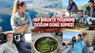 HEDİYELERİMİZİ ALDIK GİTTİKIHLAMUR TERASTAYIZKAHVALTILIK ALIŞVERİŞİETLİ DOLMA MİSAFİR ÖNCESİ