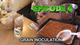 Episode 06 - Mushroom spawn bags production - Growing mushrooms at home for a few cents