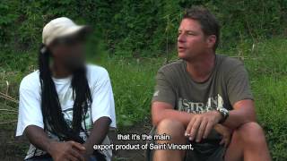 Strain Hunters Trinidad & St. Vincent  Bad news for Blacka (Extra's)