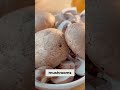 Chef Reveals Secret Egg Noodle Pasta Recipe Let's Cook!
