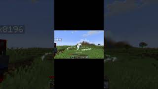 cos'è che è stato colpito? #minecraft #gaming #perte#memes #random