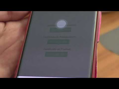 Mail de Ayuda para Certificados Covid colas Informativos 26/01/2022