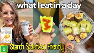 What I Ate Today As A Happy Starch Based Mom