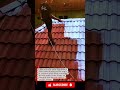 Pro Roofer Uses Air Compressor to Spray Roof Tiles with Precision