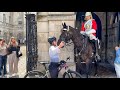 Heart warming moment between wilson the horse and a tourist on bike at horse guards