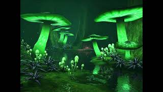 Enchanted Forest Ambience V5 (4 Hours, No Ads)