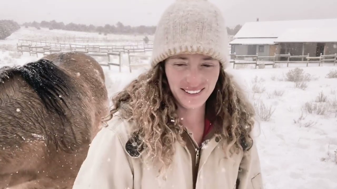 Soothing Snow Horse Playtime ✨ REWILD Medicine