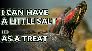 Pond Slider Turtle facts: you may know them as red eared sliders | Animal Fact Files