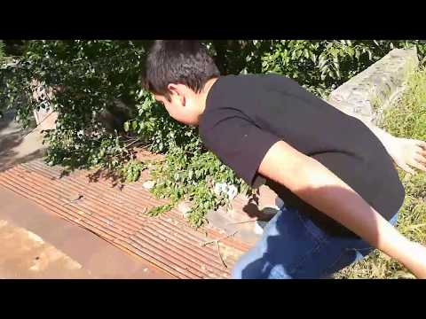 პარკური ბავშვებთან