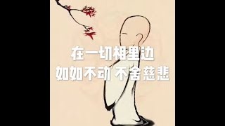 201704 在一切相里边如如不动 不舍慈悲22457