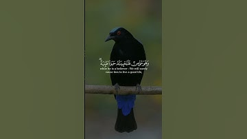 #قران_كريم #اكسبلور #تلاوة_خاشعة #حالات_واتس #ياسر_الدوسري #المنشاوي #الدوسري_مؤثر #لايك #ترند #قرآن