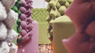 Giuggiola Natale 2019