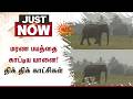 மரண பயத்தை காட்டிய யானை! - திக் திக் காட்சிகள் | Sathyamangalam | Shocking Video | Sun  News