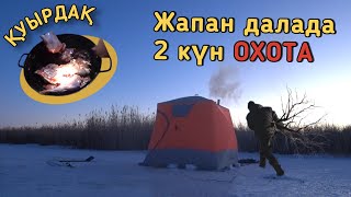 2 күн табиғатта аңшылық. Қояннан қуырдақ. Два дня на охоте.