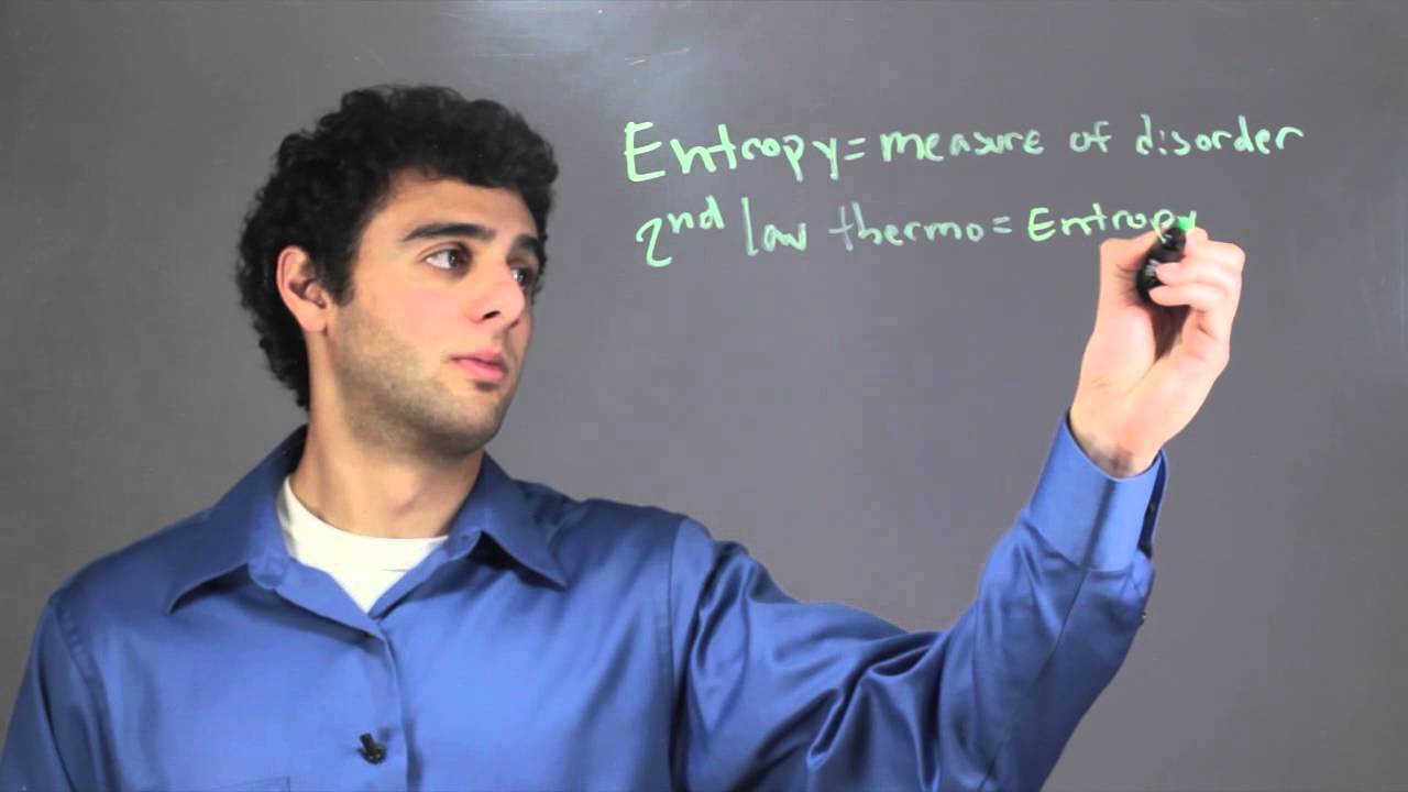 entropy biology