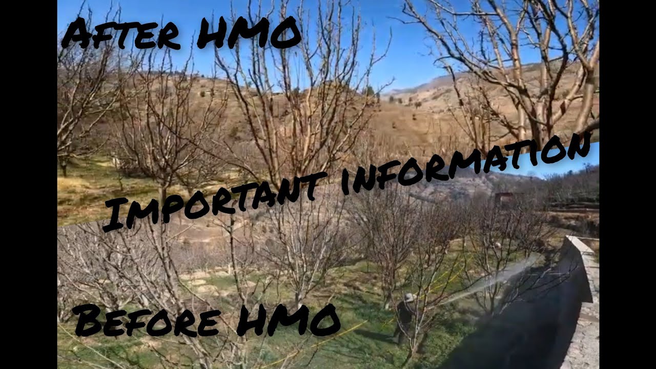 1 st Spray Of 2024 | H.M.O. / Durmet | Why HMO is Important For Plants