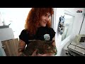 Esperanza para los animales: clínica veterinaria de bajo costo abre en Caguas