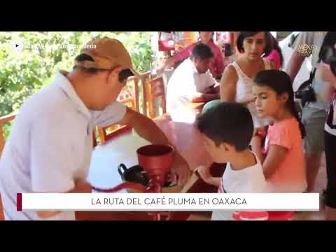 Pluma Hidalgo, el epicentro del buen café en Oaxaca