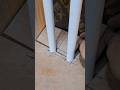 WOODWORK HAND CUTTING TRICK #howto #woodworking #diy #carpentry #shorts #tutorial