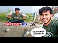 first time kabootar laya Ghar | kabutar ka video @SadikTigerkbuatr ||
