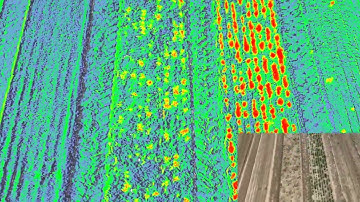 Beyond the visible: utilizing DJI Mavic 3M and Proofminder AI model to count trees