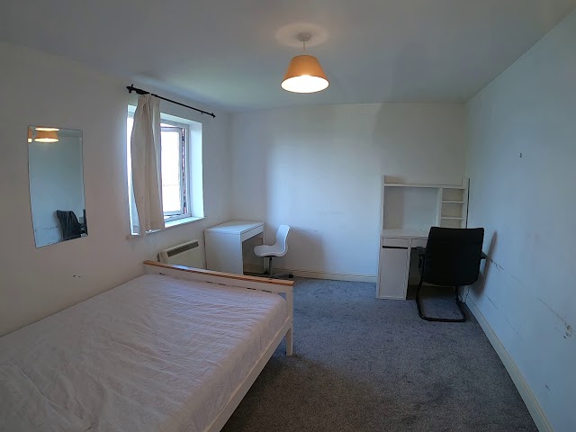 Video 1: Beautiful Riverview Huge Double Room