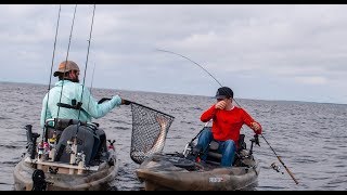 Celebrity Does Wind Direction Matter? Net Worth