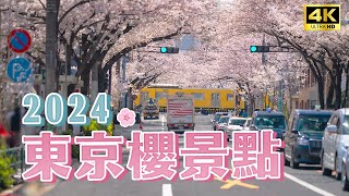 2024 Tokyo Cherry Blossoms | 3 Classic Cherry Blossom Viewing Spots Selected