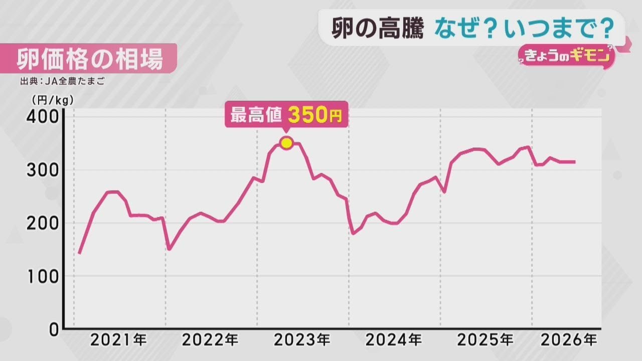 いつまで続く卵価格の高騰 鳥インフルエンザにニワトリ数の減少が影響
