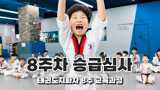 태권도지화자 8주 교육과정: 8주차 승급심사