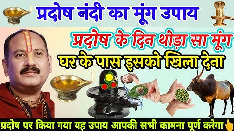 प्रदोष नंदी का मूंग उपाय के दिन थोड़ा सा मूंग घर के पास इसको खिला देना - Pradeep ji mishra