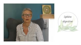BASILIC SACRÉ - Cap Santé Diététique (conseils et secrets) BASILIC SACRÉ - Cap Santé Diététique (conseils et secrets)