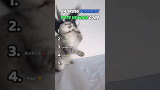 Ranking Funniest PETS VS WIGS Core Moments #funny #cats #dogs
