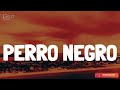 Bad Bunny - PERRO NEGRO (Lyrics/Letra)