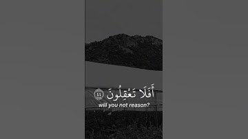 أتأمرون الناس بالبر وتنسون أنفسكم ( القارئ #مشاري_العفاسي )
