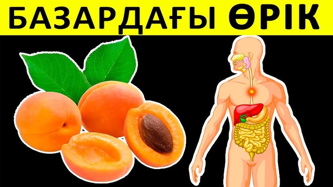 Дана Борисованың секс порносы Жетілген бай лесбиянка трахается грудительных видео