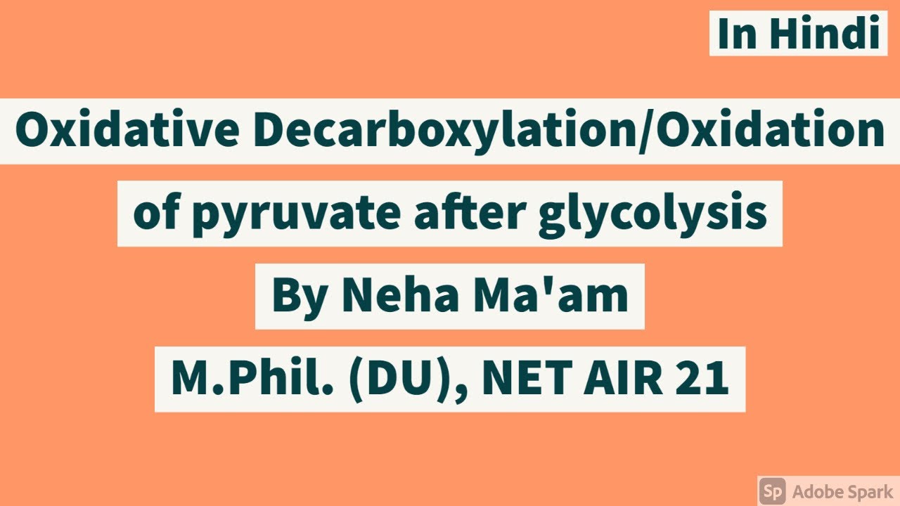 Oxidative decarboxylation/Oxidation of Pyruvate after glycolysis (In Hindi) CSIR NET Life Sciences