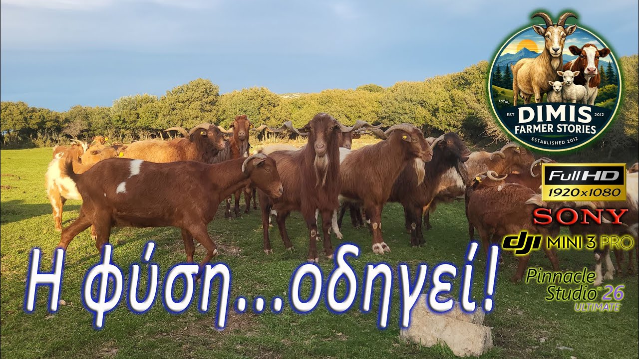 Όταν η φύση...οδηγεί!